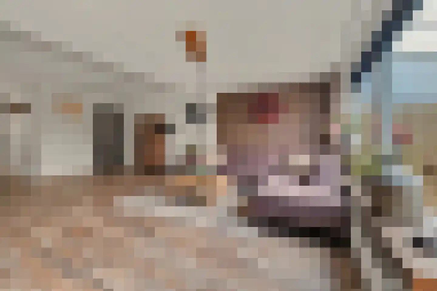 Zoetendaal 225 Elst thumbnail 13