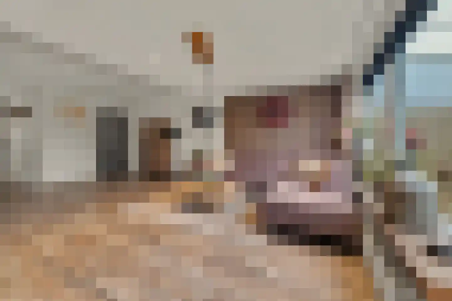 Zoetendaal 225 Elst thumbnail 14