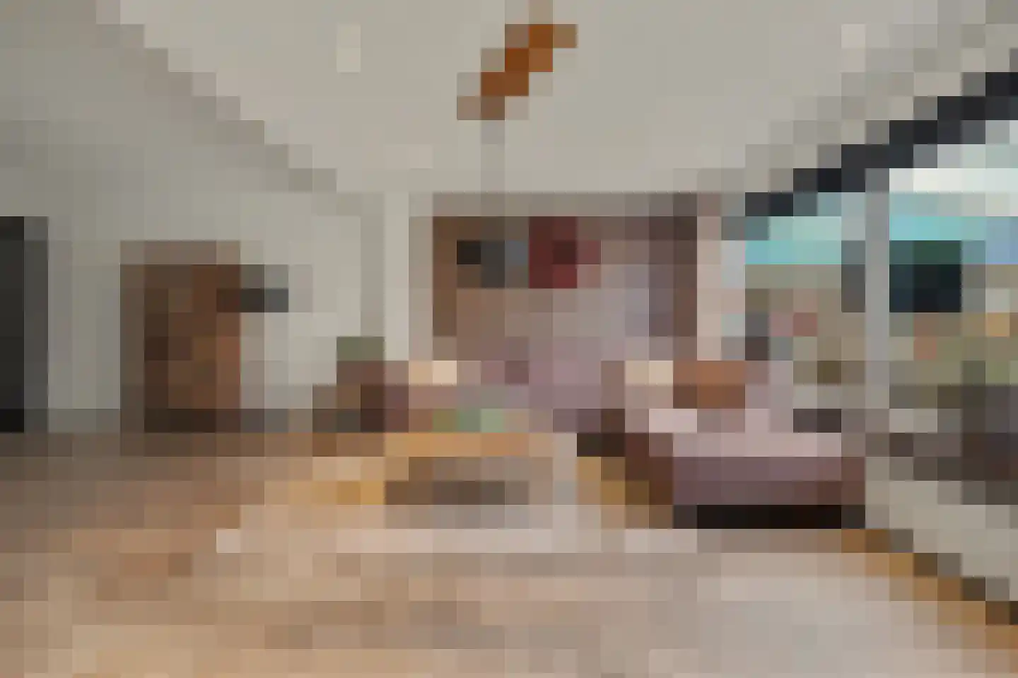 Zoetendaal 225 Elst thumbnail 15