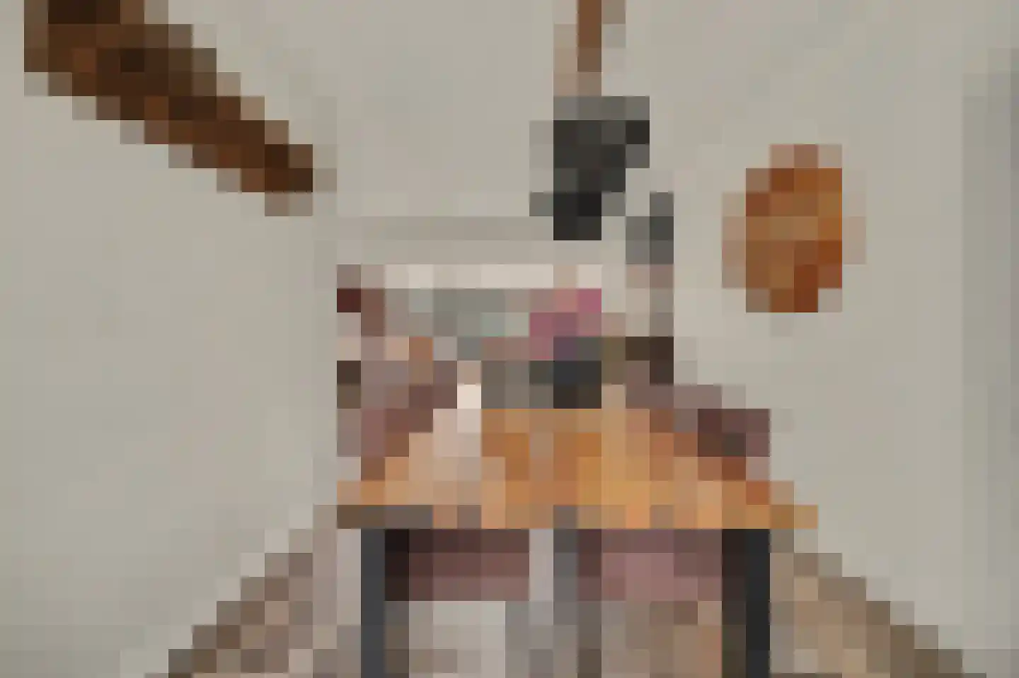 Zoetendaal 225 Elst thumbnail 19