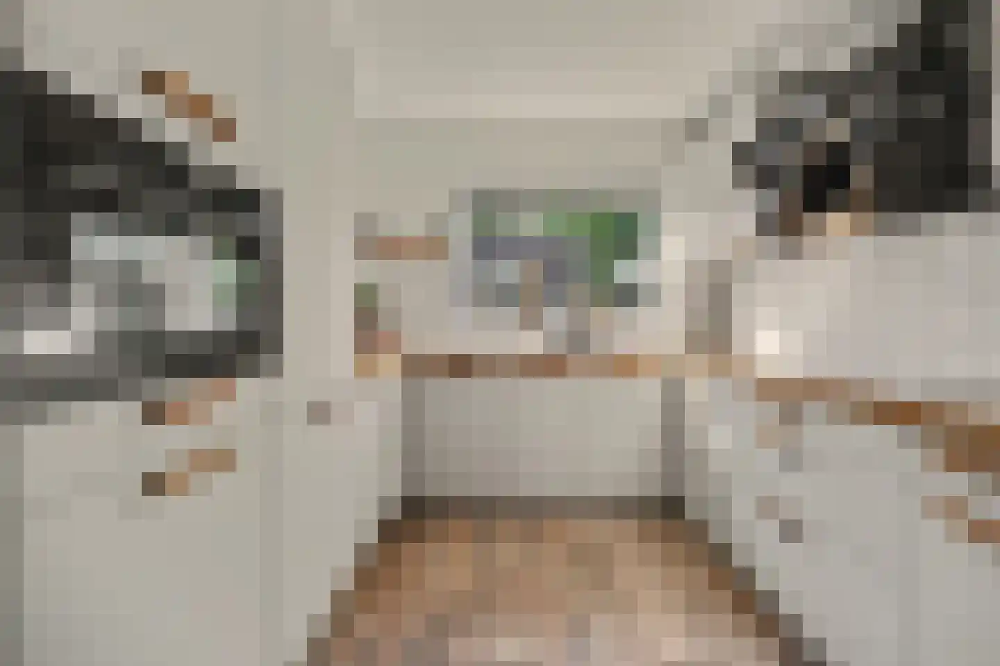 Zoetendaal 225 Elst thumbnail 20