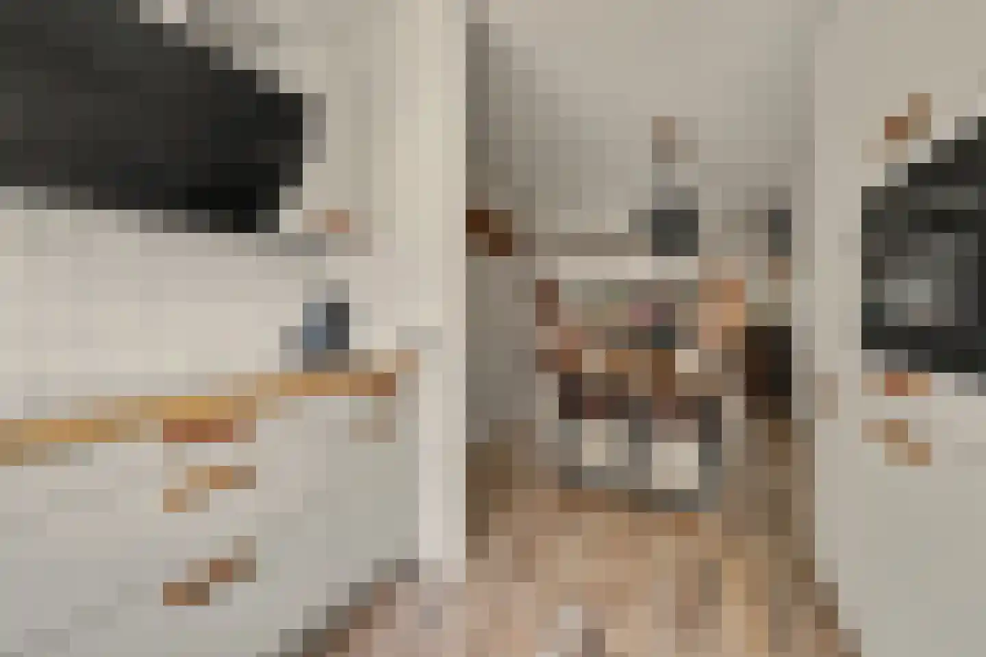 Zoetendaal 225 Elst thumbnail 22