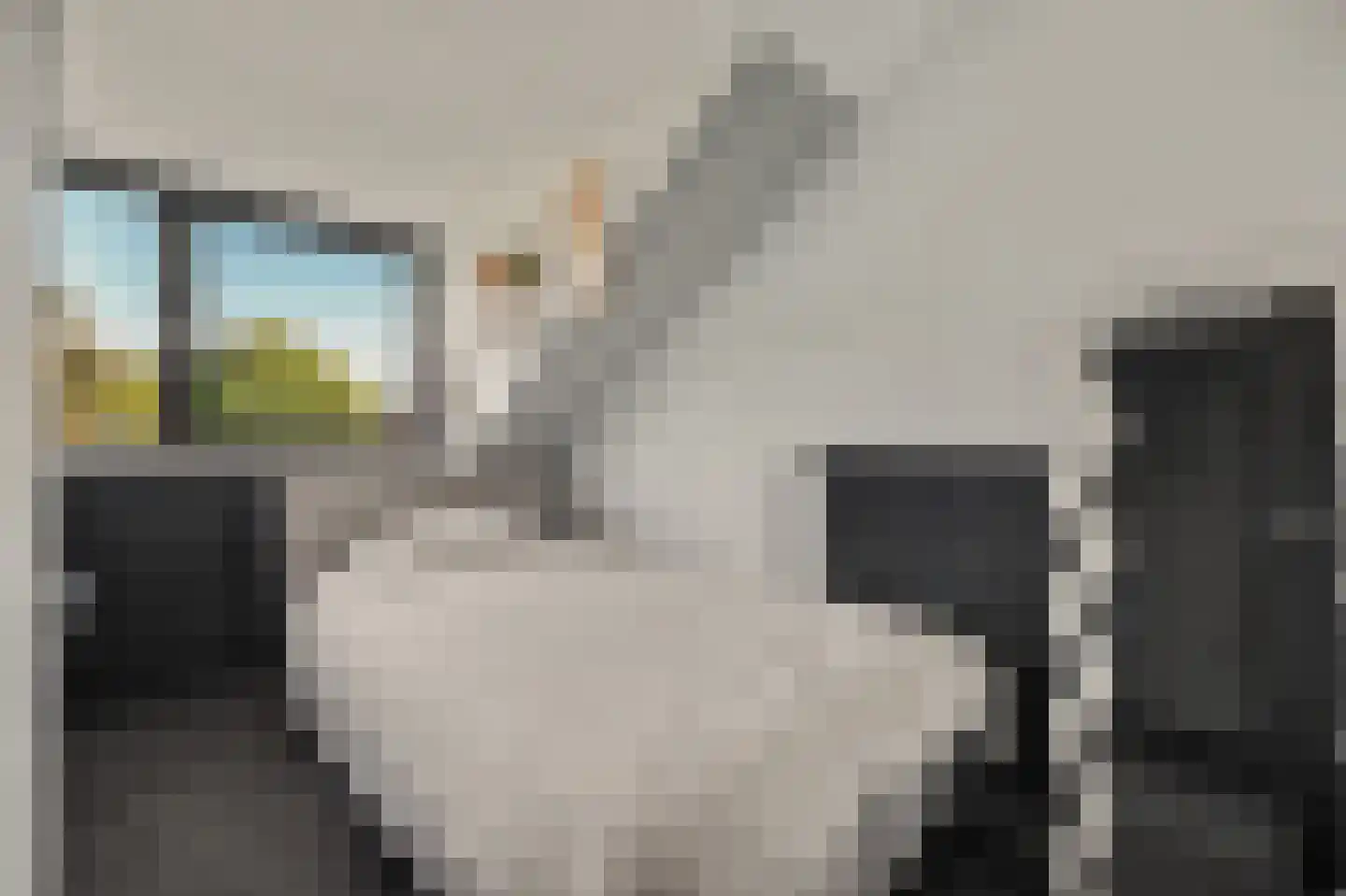 Zoetendaal 225 Elst thumbnail 34