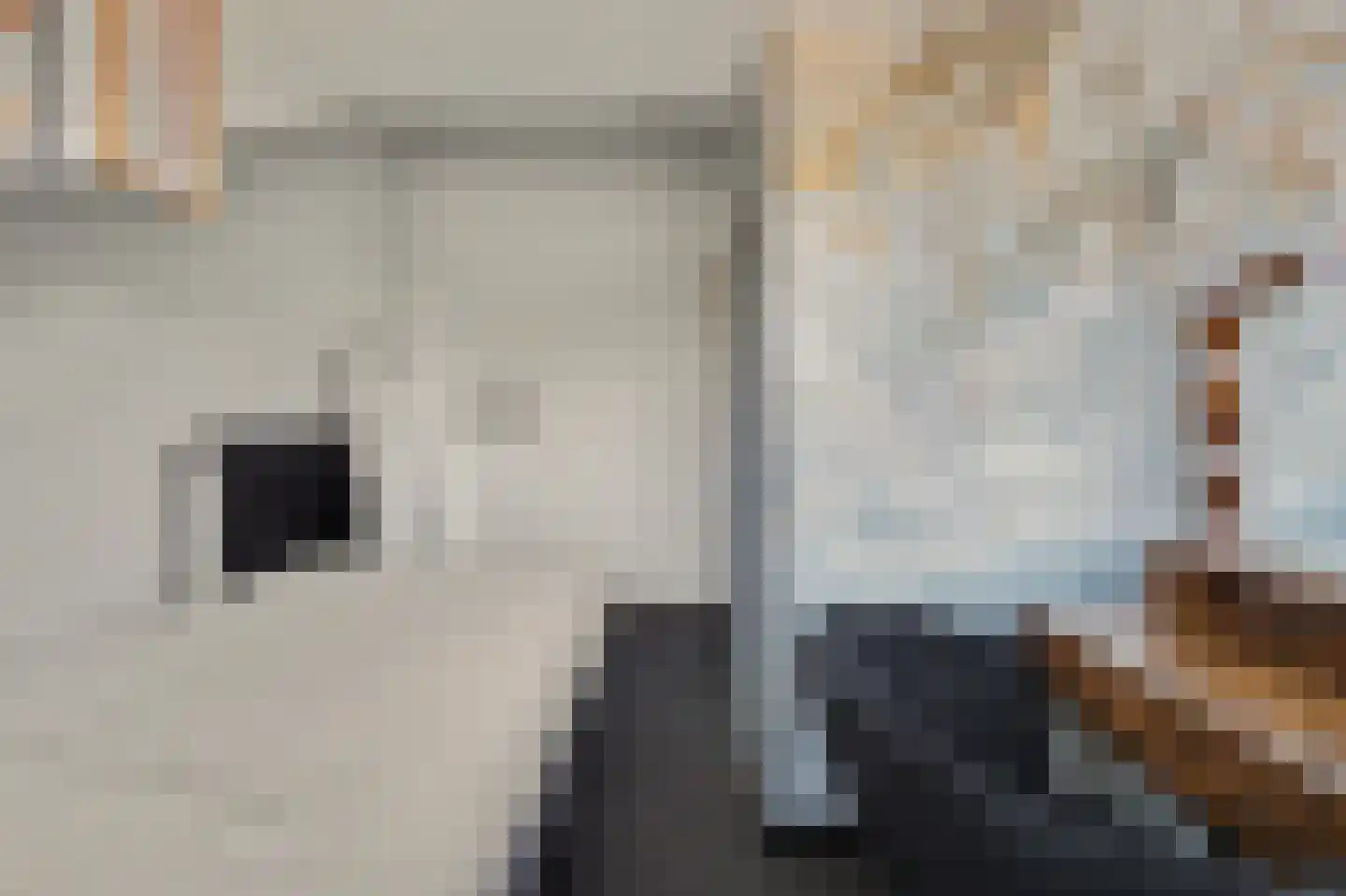 Zoetendaal 225 Elst thumbnail 36