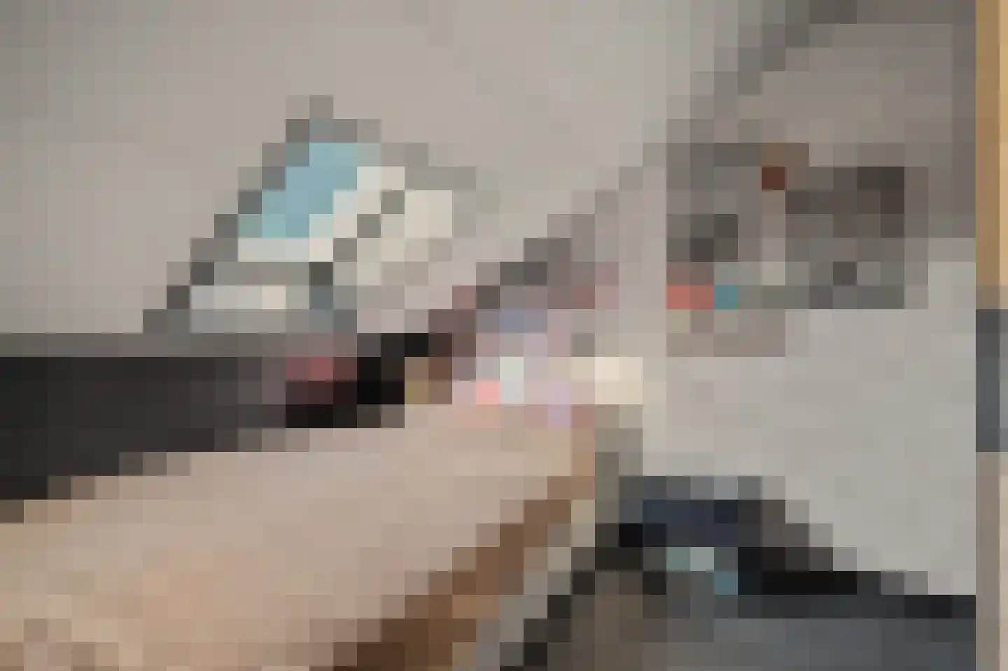 Zoetendaal 225 Elst thumbnail 38