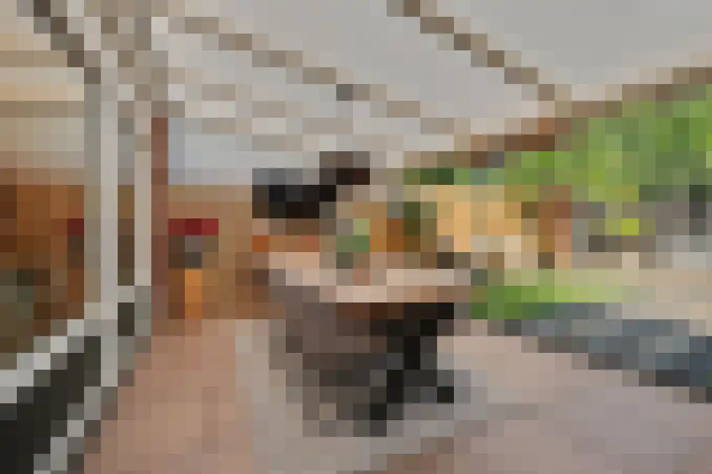 Zoetendaal 225 Elst thumbnail 39