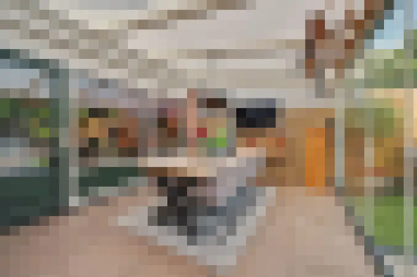 Zoetendaal 225 Elst thumbnail 41