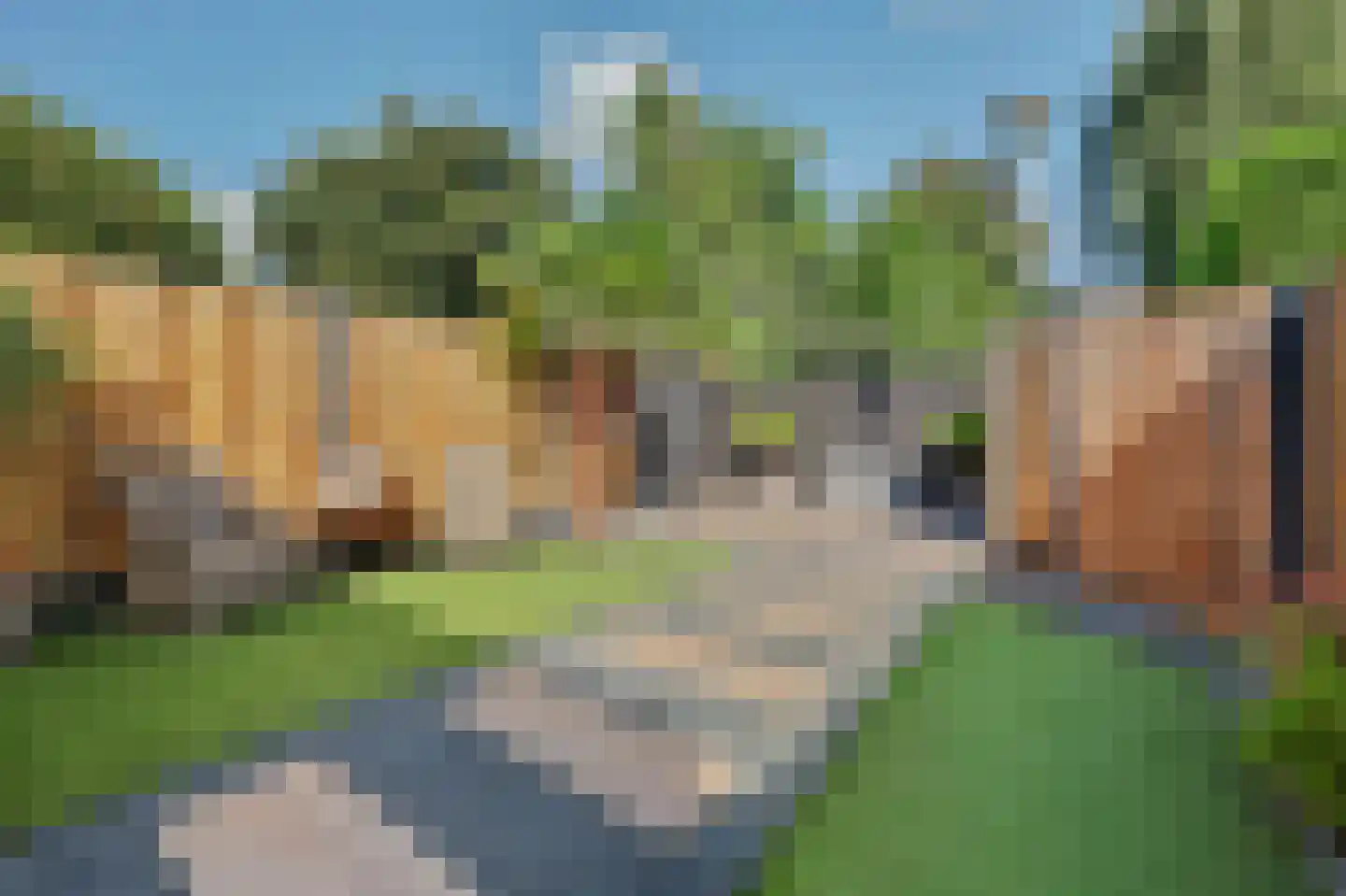 Zoetendaal 225 Elst thumbnail 42