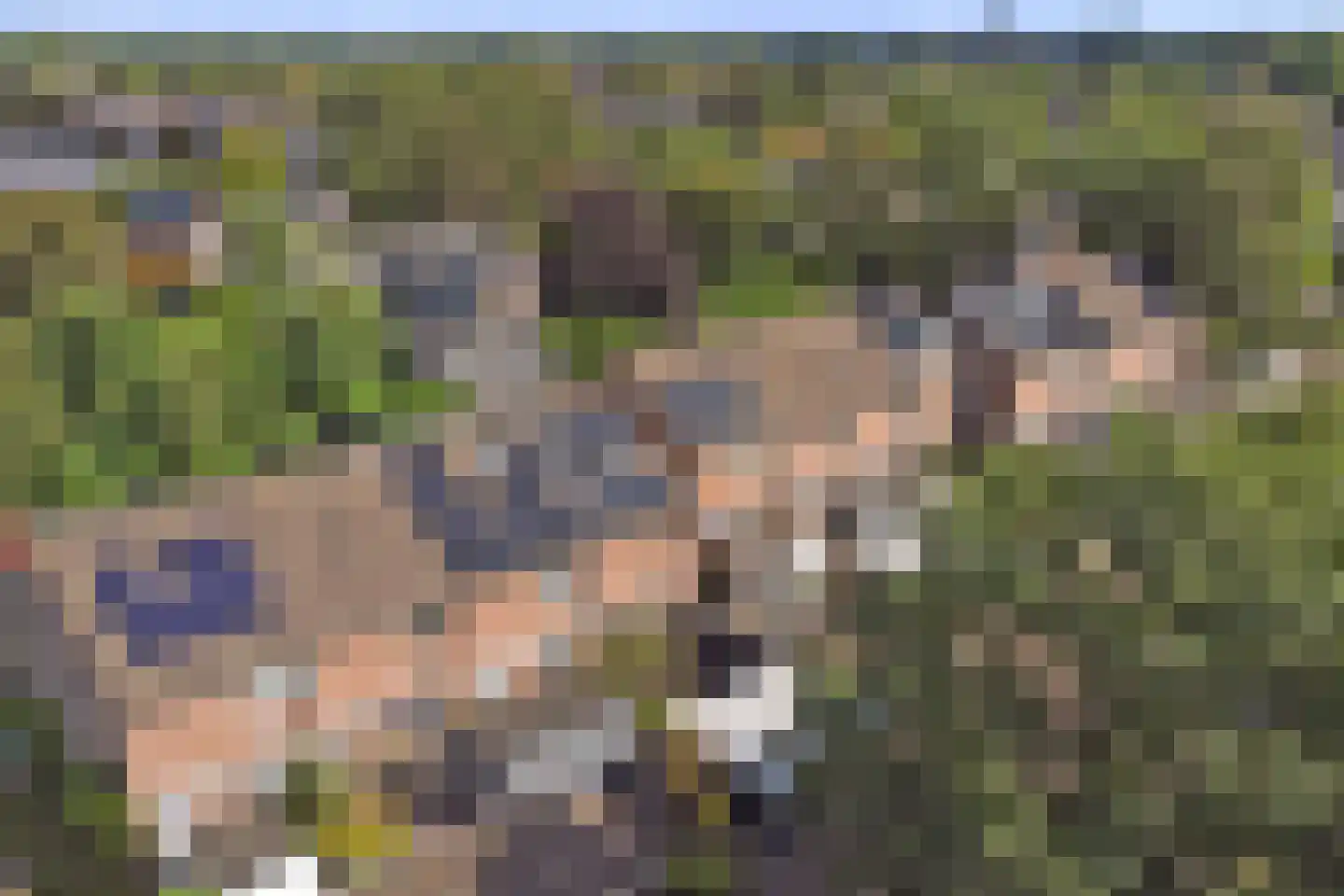 Zoetendaal 225 Elst thumbnail 48