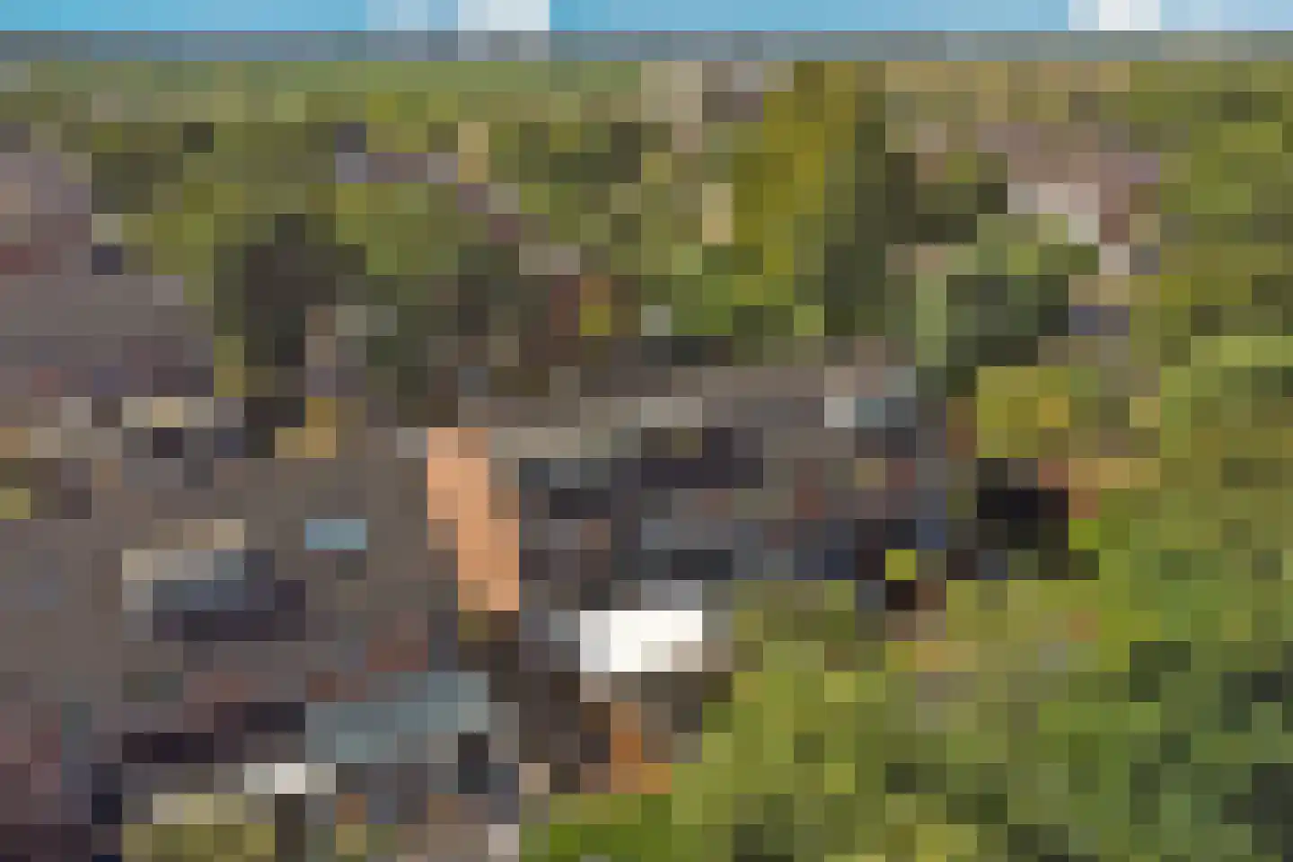 Zoetendaal 225 Elst thumbnail 50