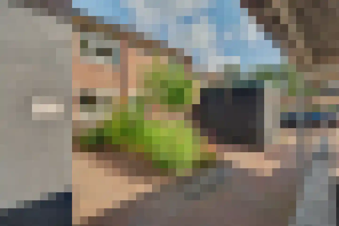 Zoetendaal 225 Elst thumbnail 7