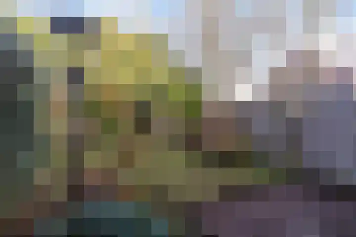 Zoetendaal 239 Elst thumbnail 16