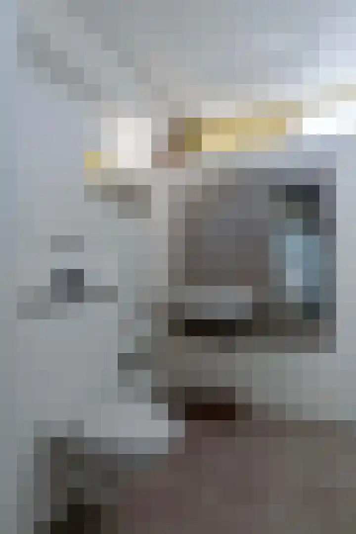 Zoetendaal 239 Elst thumbnail 22