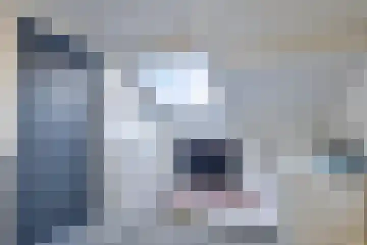 Zoetendaal 239 Elst thumbnail 29