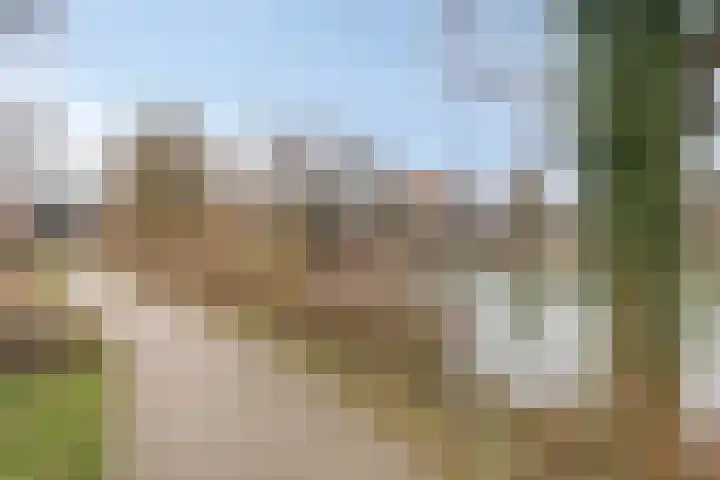 Zoetendaal 239 Elst thumbnail 35