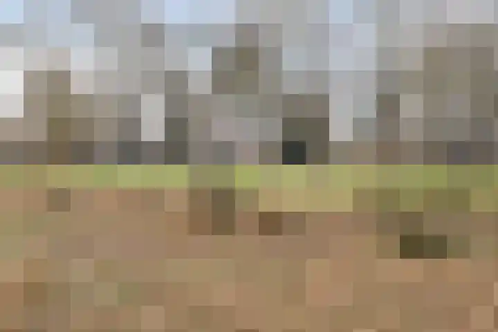 Zoetendaal 239 Elst thumbnail 37