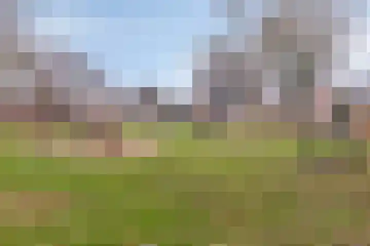Zoetendaal 239 Elst thumbnail 38