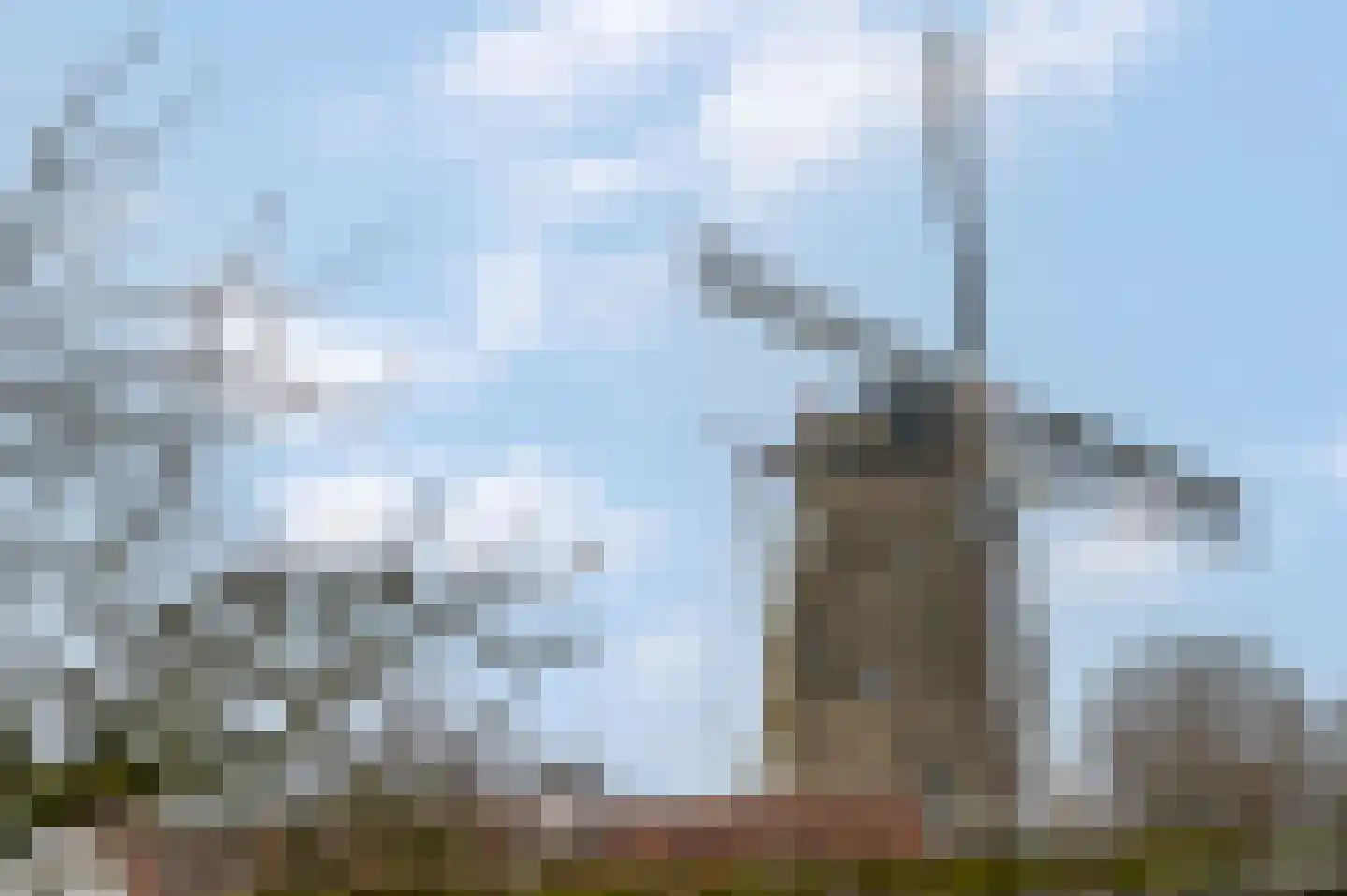 Zoetendaal 3 Buren thumbnail 15