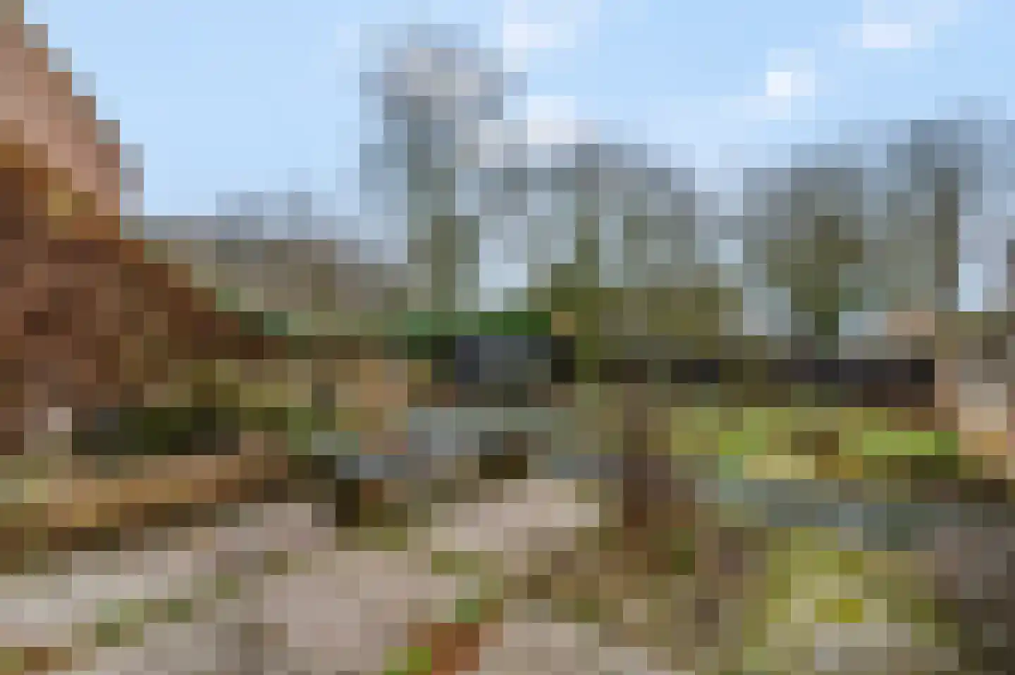 Zoetendaal 3 Buren thumbnail 16