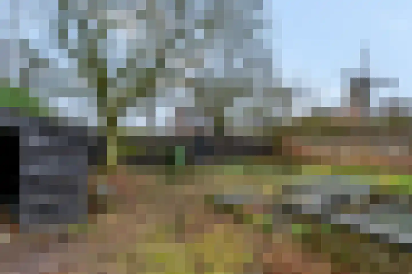Zoetendaal 3 Buren thumbnail 17