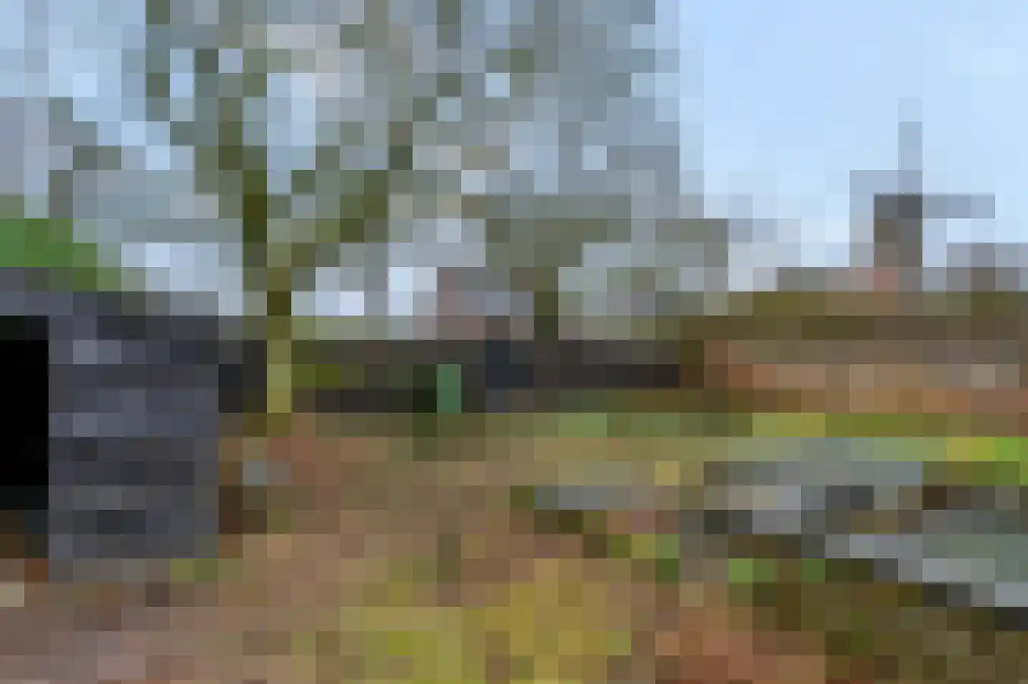 Zoetendaal 3 Buren thumbnail 18