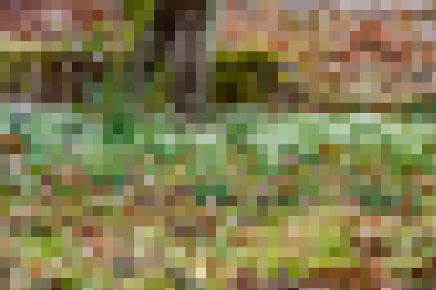 Zoetendaal 3 Buren thumbnail 19