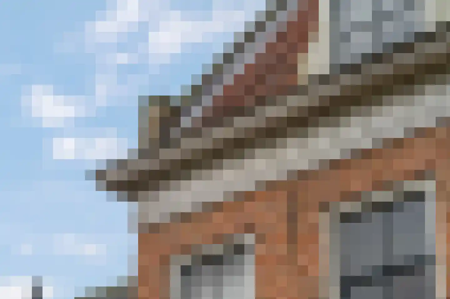 Zoetendaal 3 Buren thumbnail 20