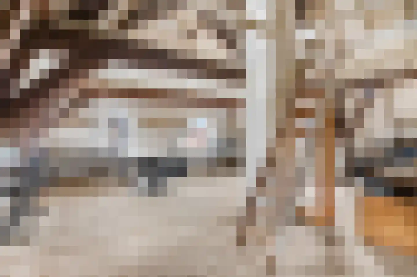 Zoetendaal 3 Buren thumbnail 31