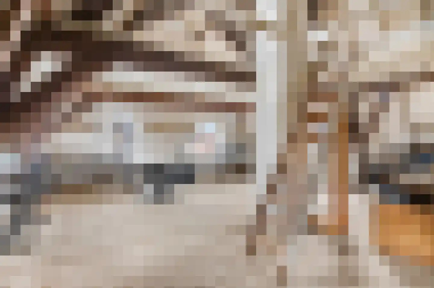 Zoetendaal 3 Buren thumbnail 32