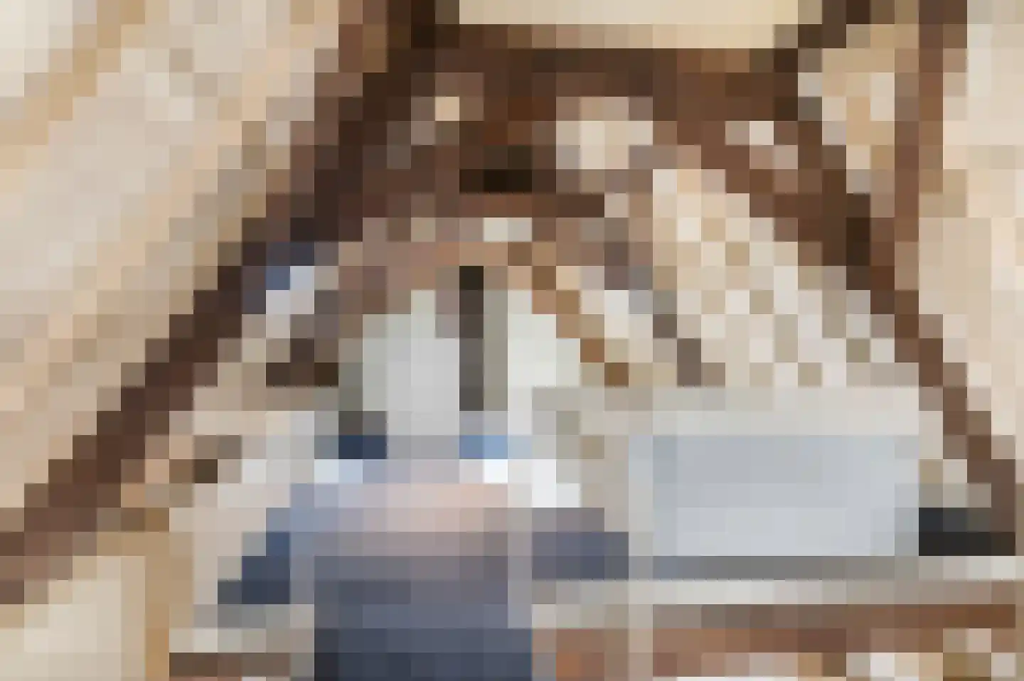 Zoetendaal 3 Buren thumbnail 36