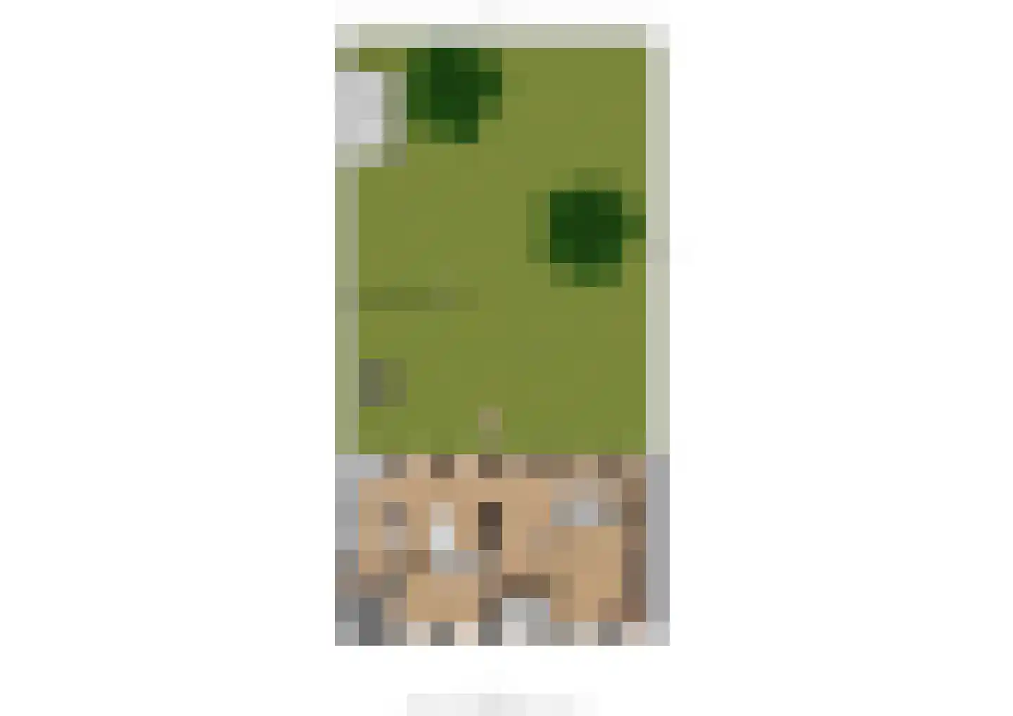 Zoetendaal 3 Buren thumbnail 46
