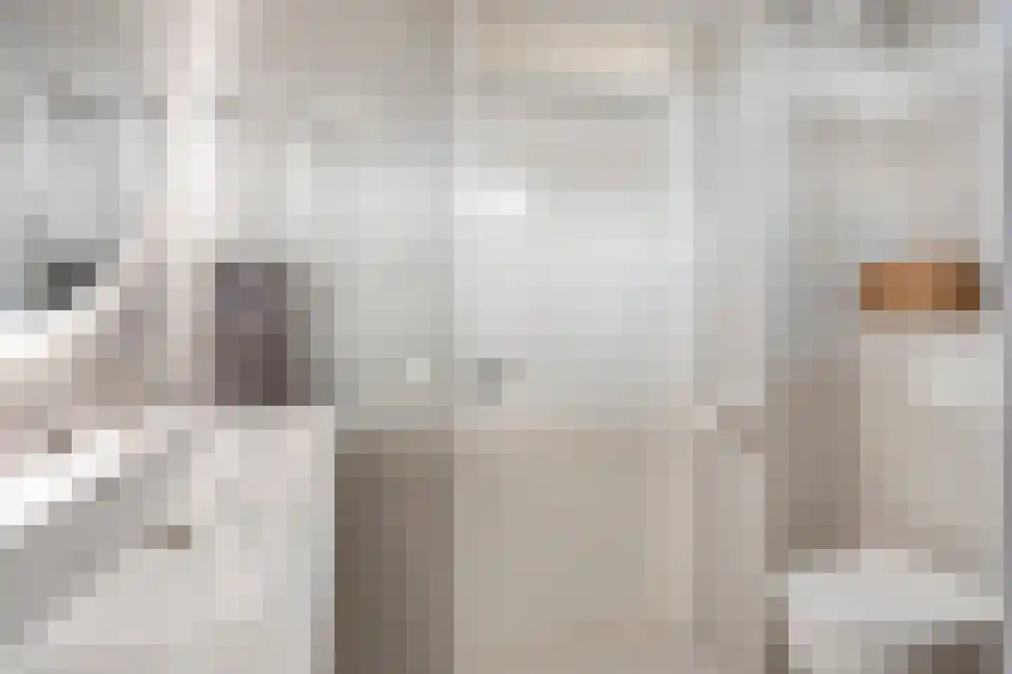 Zoetendaal 44 Elst thumbnail 26