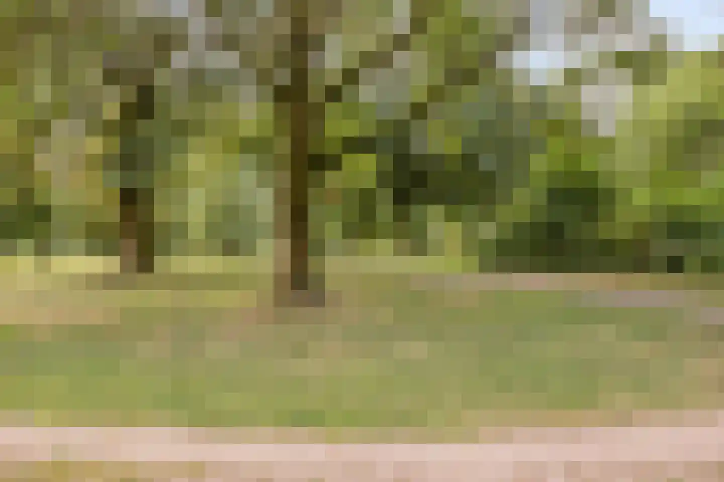Zoetendaal 44 Elst thumbnail 43