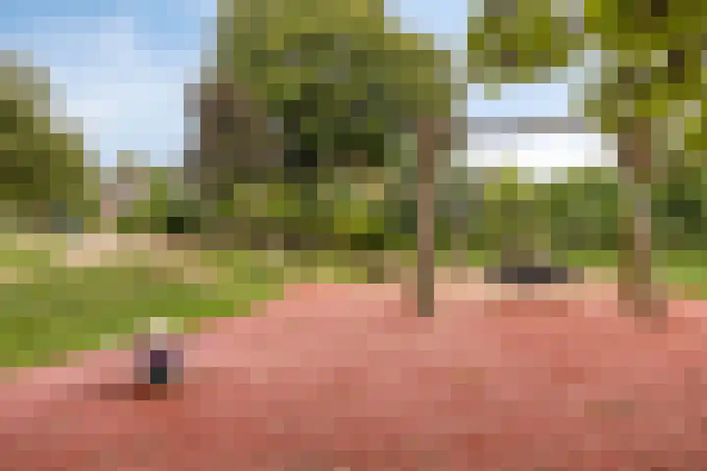Zoetendaal 44 Elst thumbnail 44