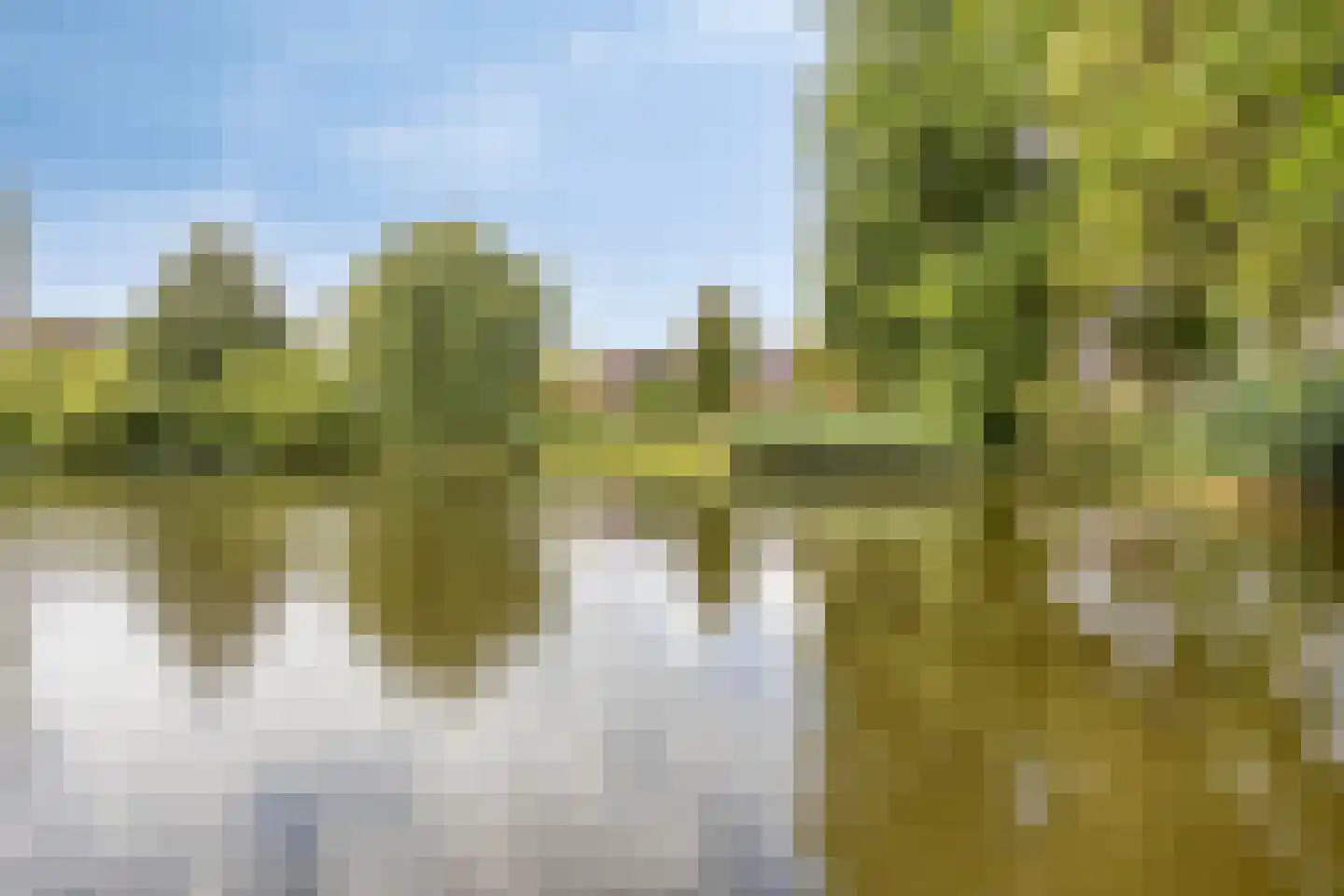 Zoetendaal 44 Elst thumbnail 45