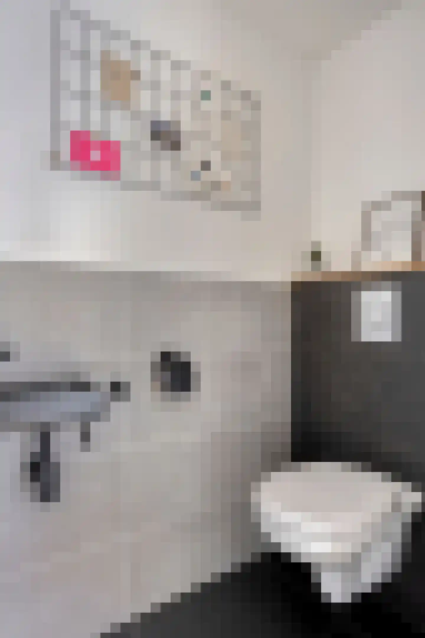 Zoetendaal 44 Elst thumbnail 7