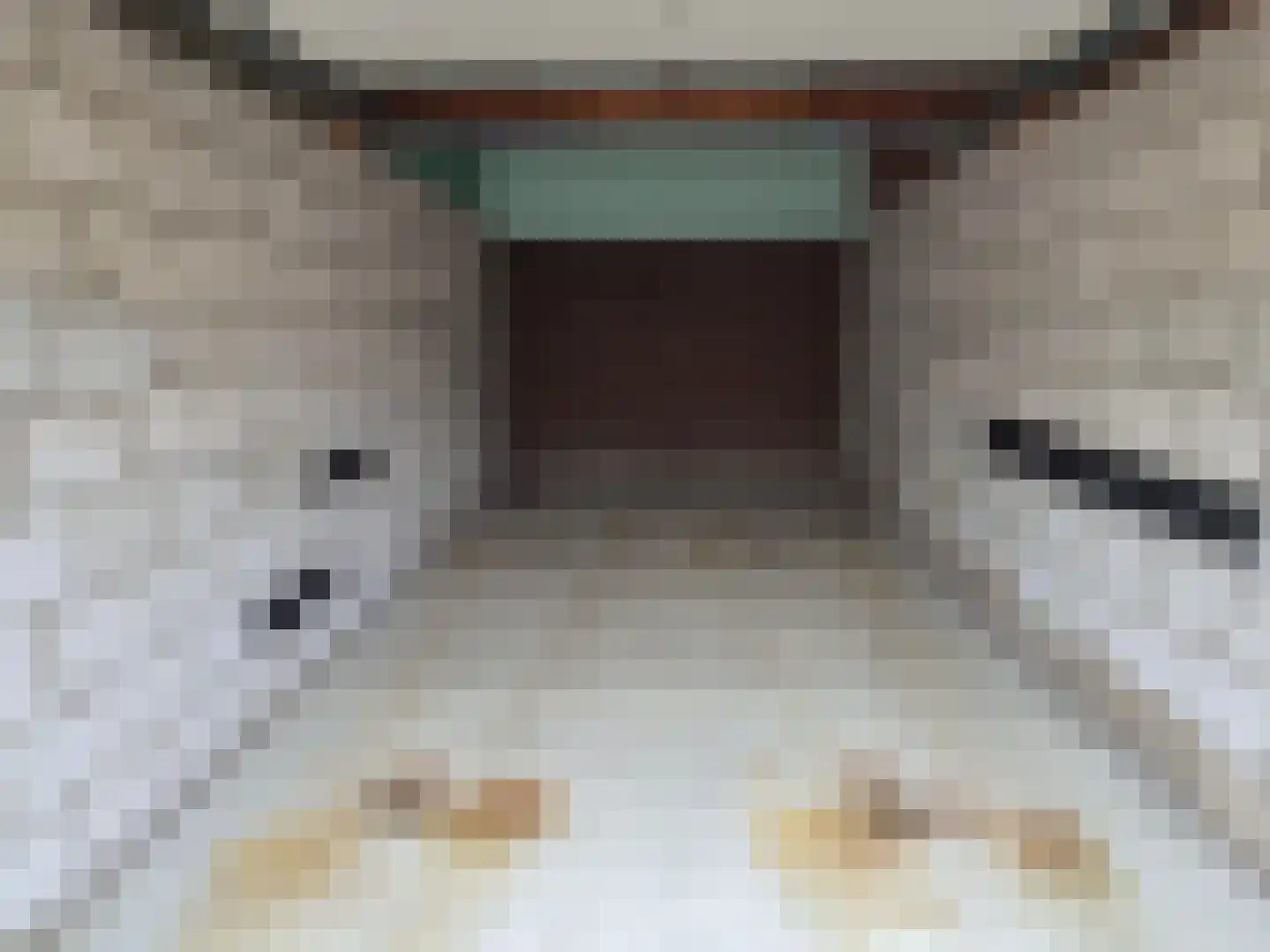Zoetendaal 51 Zevenbergen thumbnail 7