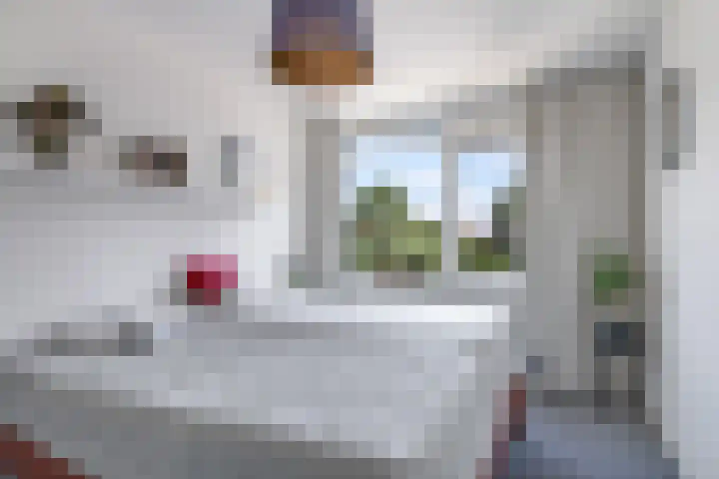 Zoetendaal 57 Elst thumbnail 33