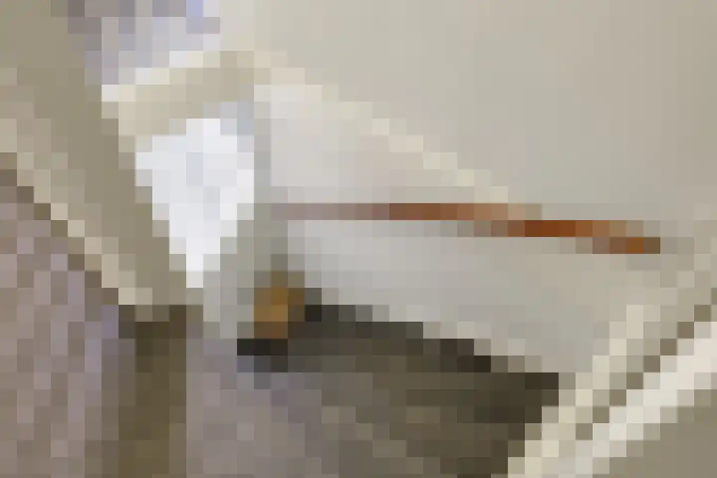 Zoetendaal 57 Elst thumbnail 49