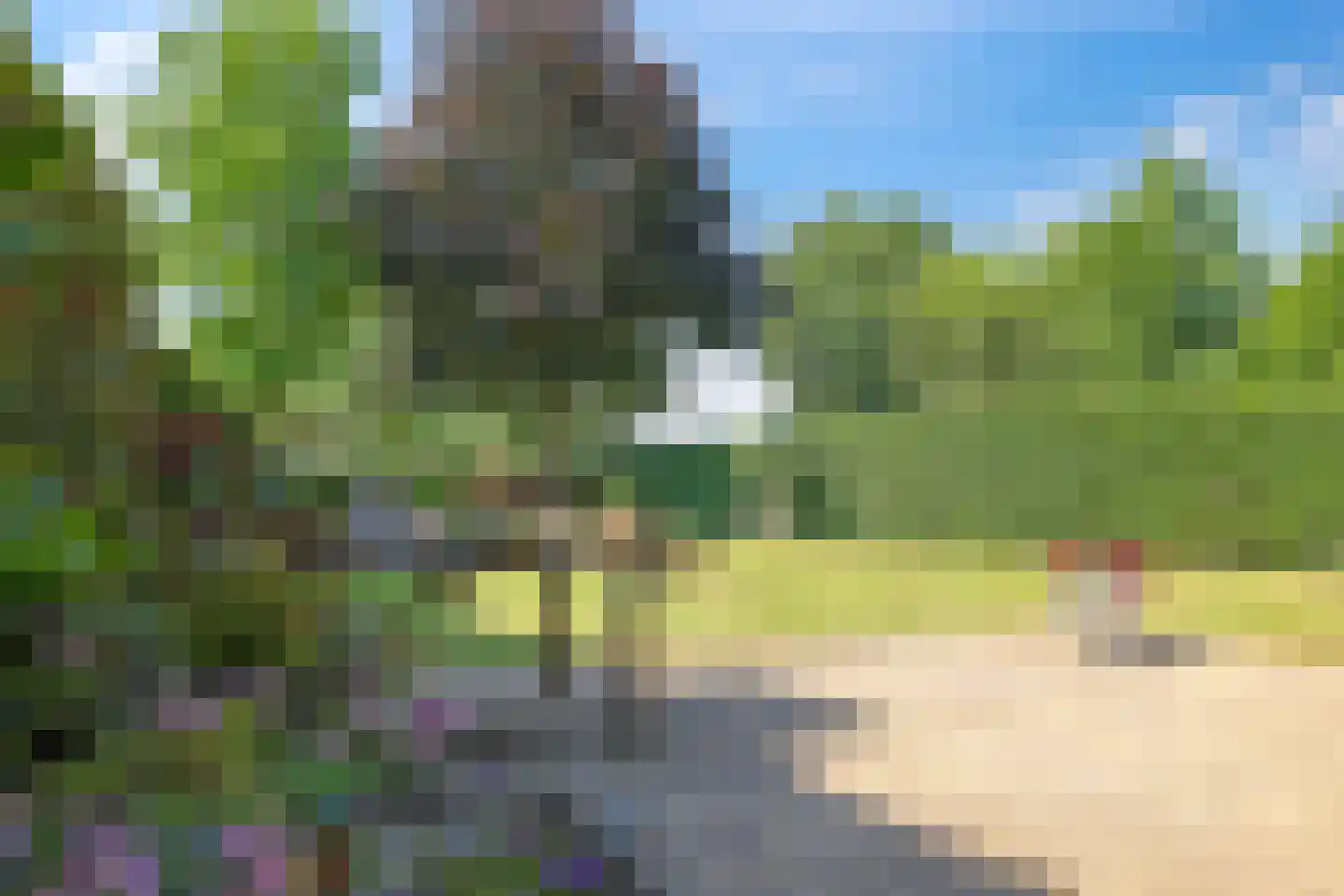 Zoetendaal 57 Elst thumbnail 56