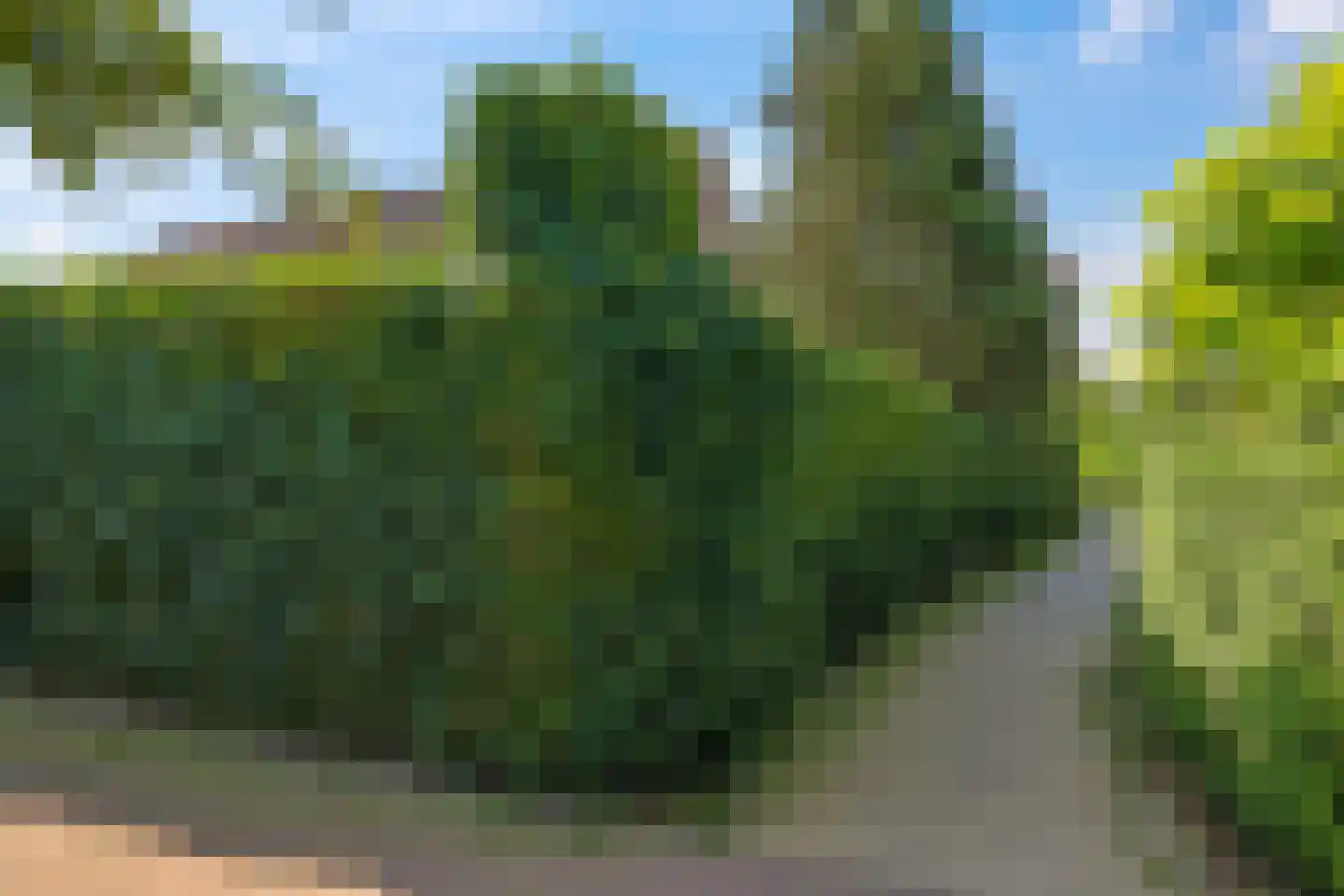 Zoetendaal 57 Elst thumbnail 79