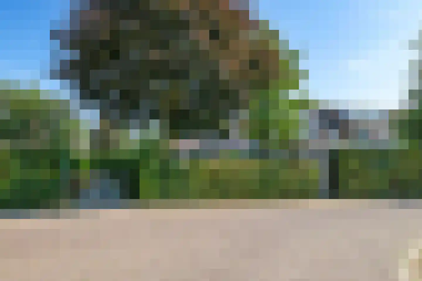 Zoetendaal 57 Elst thumbnail 80