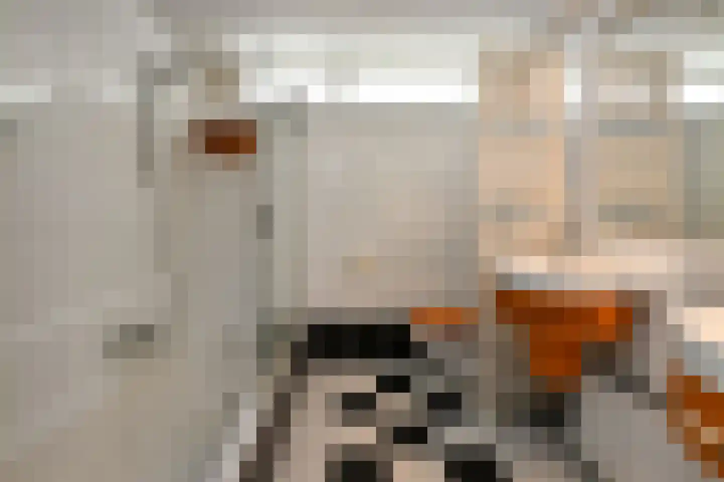 Zoetendaal 59 Elst thumbnail 18