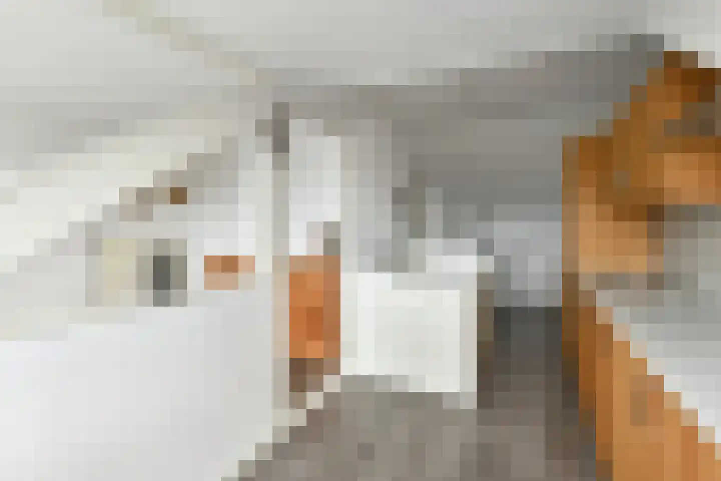 Zoetendaal 59 Elst thumbnail 21