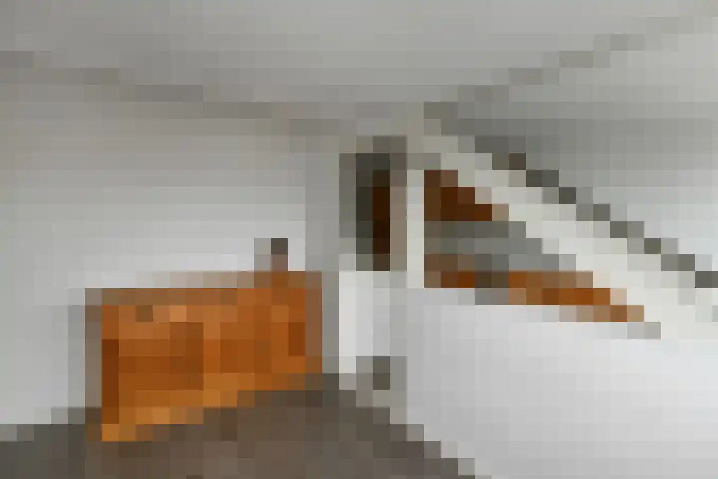 Zoetendaal 59 Elst thumbnail 23