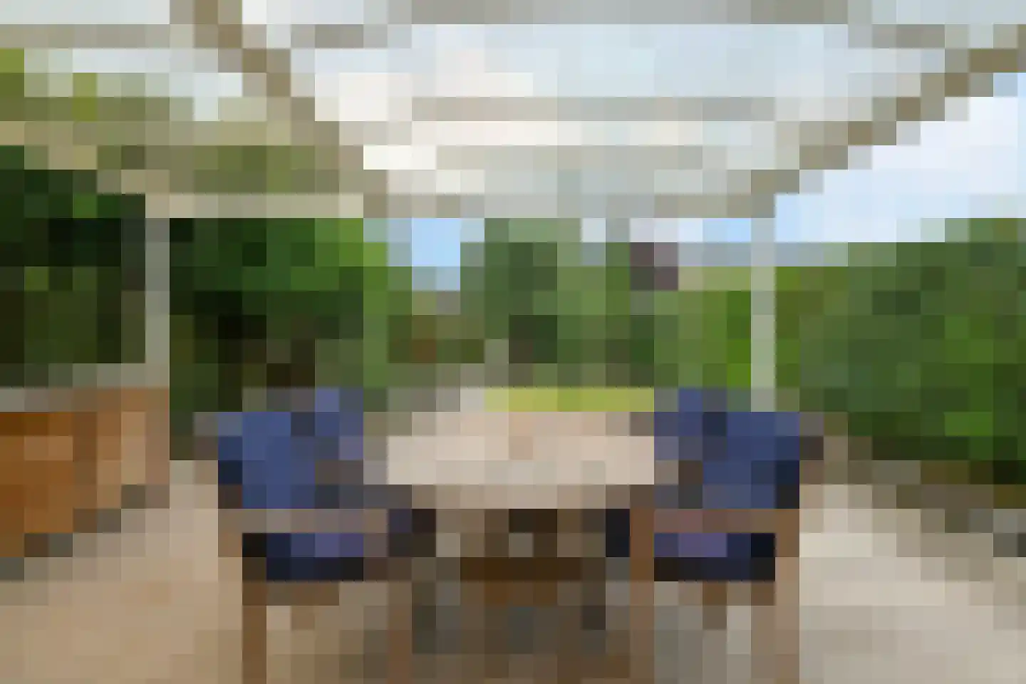 Zoetendaal 59 Elst thumbnail 27
