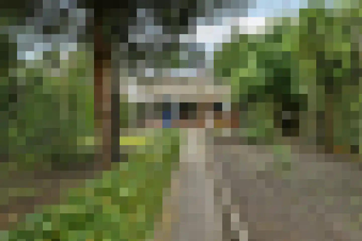 Zoetendaal 59 Elst thumbnail 35