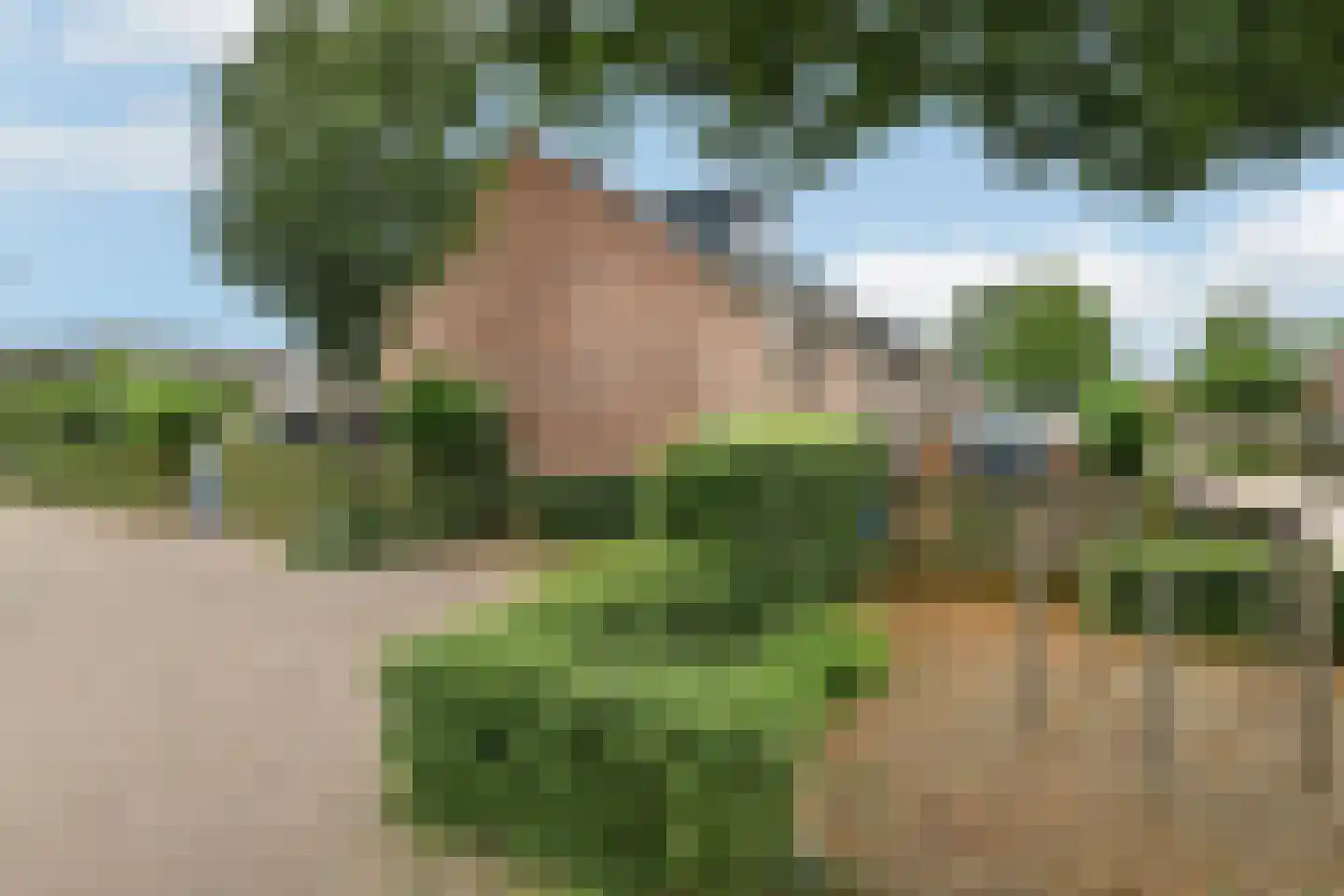 Zoetendaal 59 Elst thumbnail 38