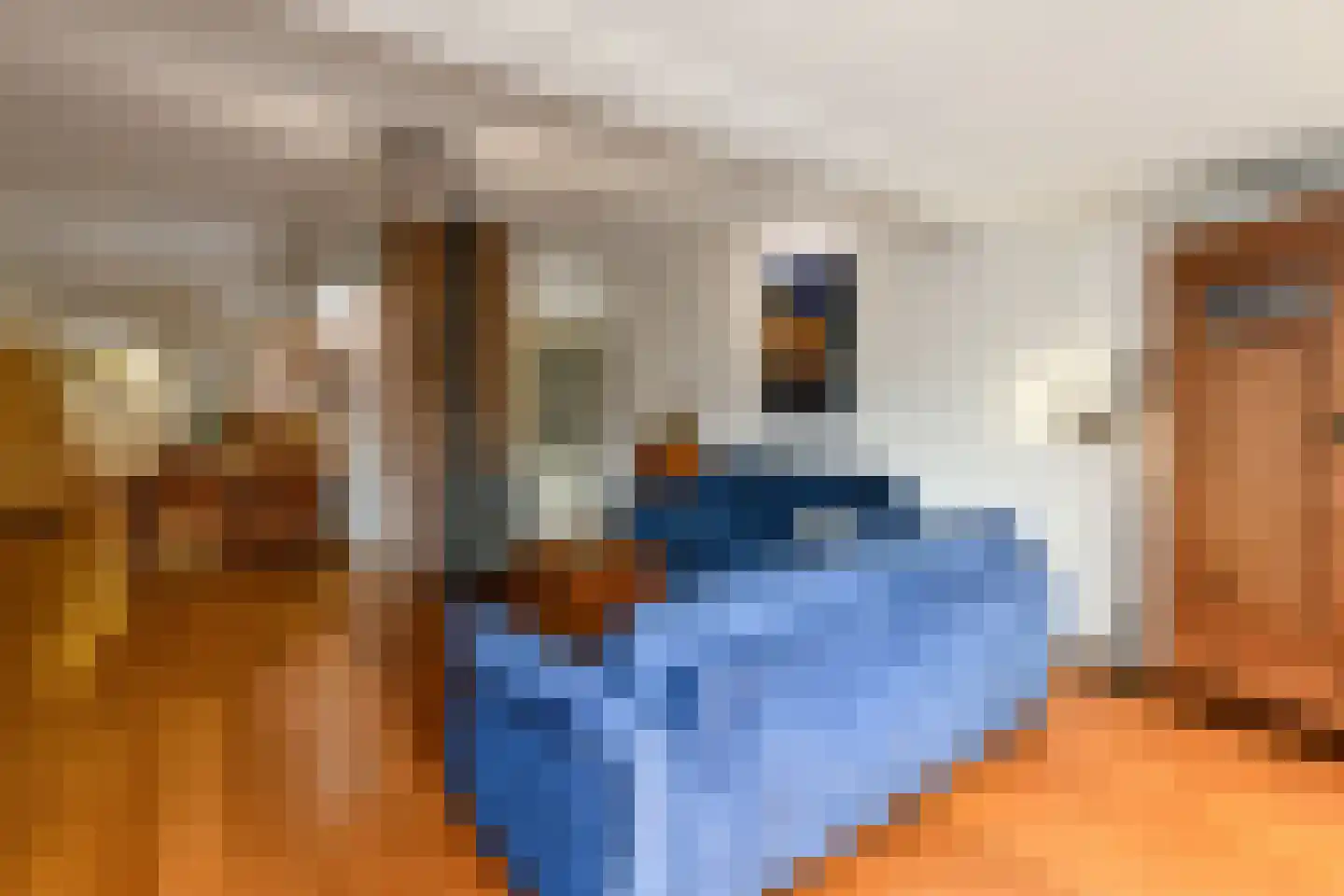 Zoetendaal 59 Elst thumbnail 8