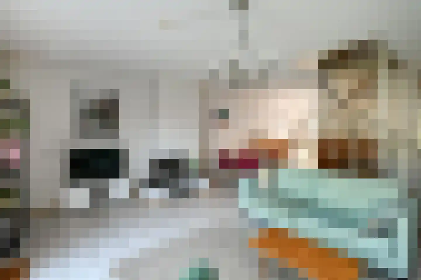 Zoetendaal 71 Elst thumbnail 10